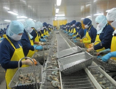Thế mạnh của ngành sản xuất thực phẩm của năm 2026